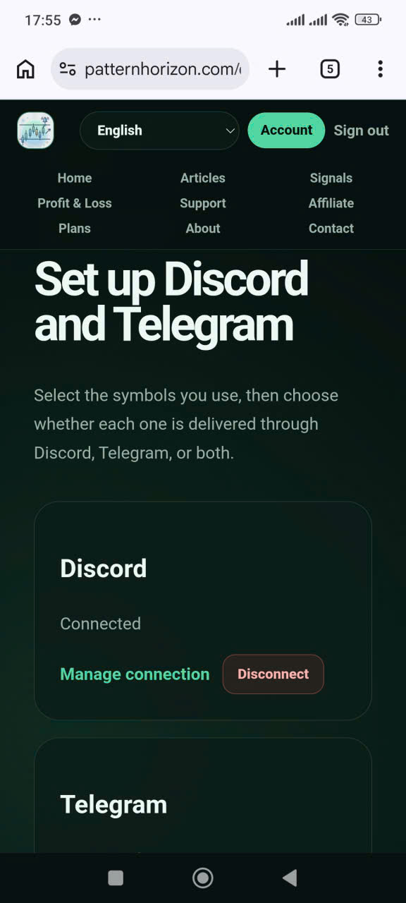 管理および切断コントロールとともに「接続済み」を表示するPattern HorizonのDiscordカード